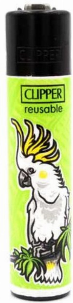 Clipper Gasfeuerzeug – Kakadu-Edition (Paradiesvogel 2/4)