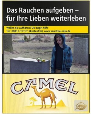 Camel XXL 24er