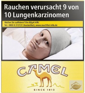 Camel Yellow 6XL 54er