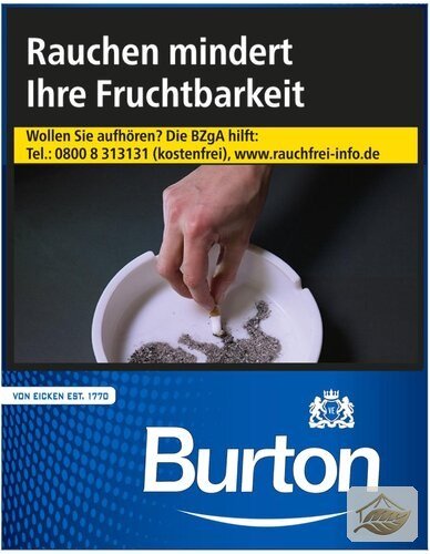 Burton Blue XL 24er