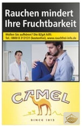 Camel 100er XXL 30er