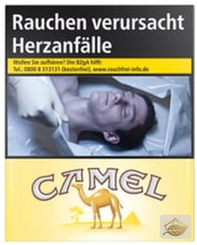 Camel 20er