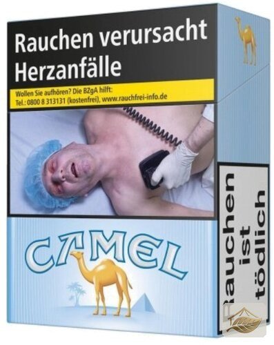 Camel Blue XXL 24er