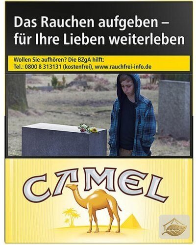 Camel XXL 24er
