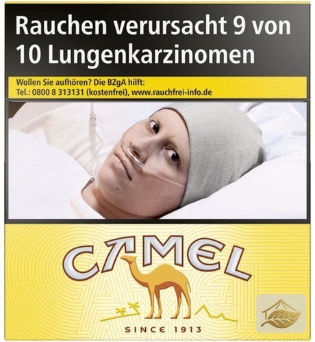 Camel Yellow 6XL 54er