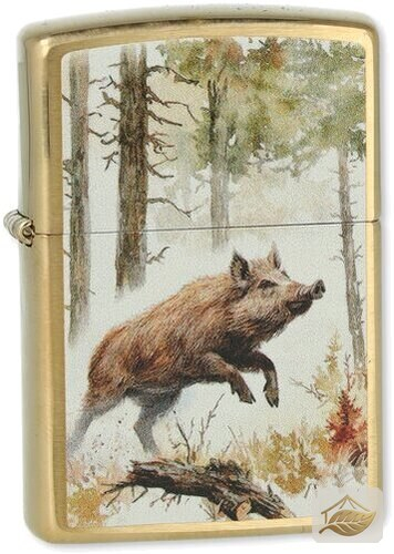 Zippo Wildschwein-Feuerzeug, gebürstetes Messing Gold